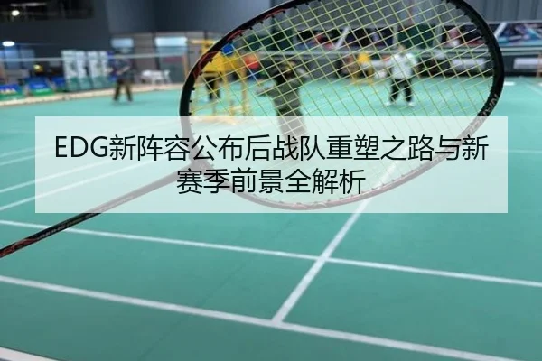 EDG新阵容公布后战队重塑之路与新赛季前景全解析