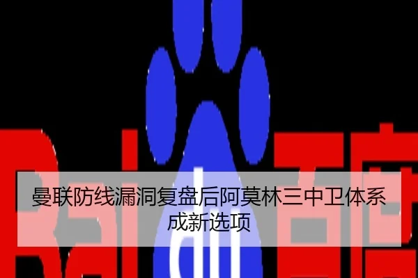 曼联防线漏洞复盘后阿莫林三中卫体系成新选项