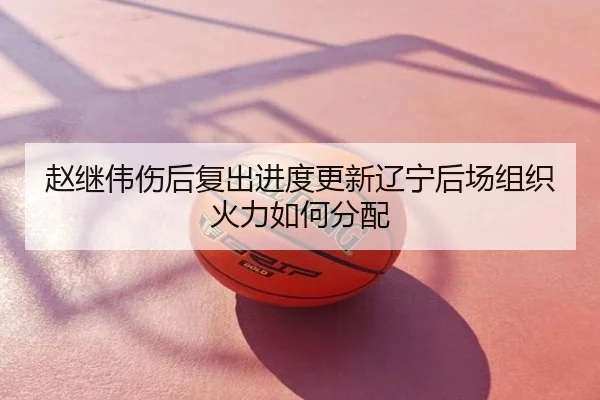 赵继伟伤后复出进度更新辽宁后场组织火力如何分配