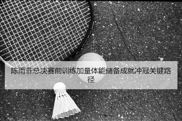 陈雨菲总决赛前训练加量体能储备成就冲冠关键路径