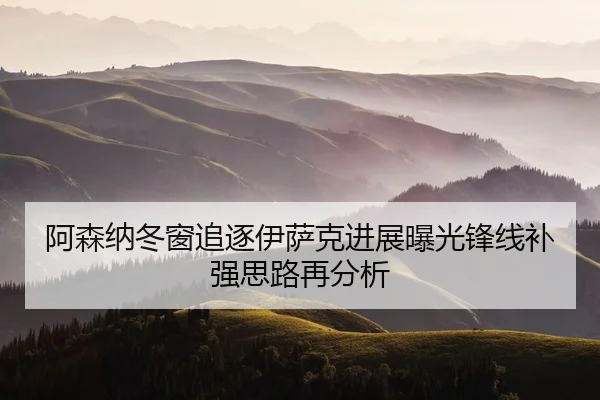 阿森纳冬窗追逐伊萨克进展曝光锋线补强思路再分析